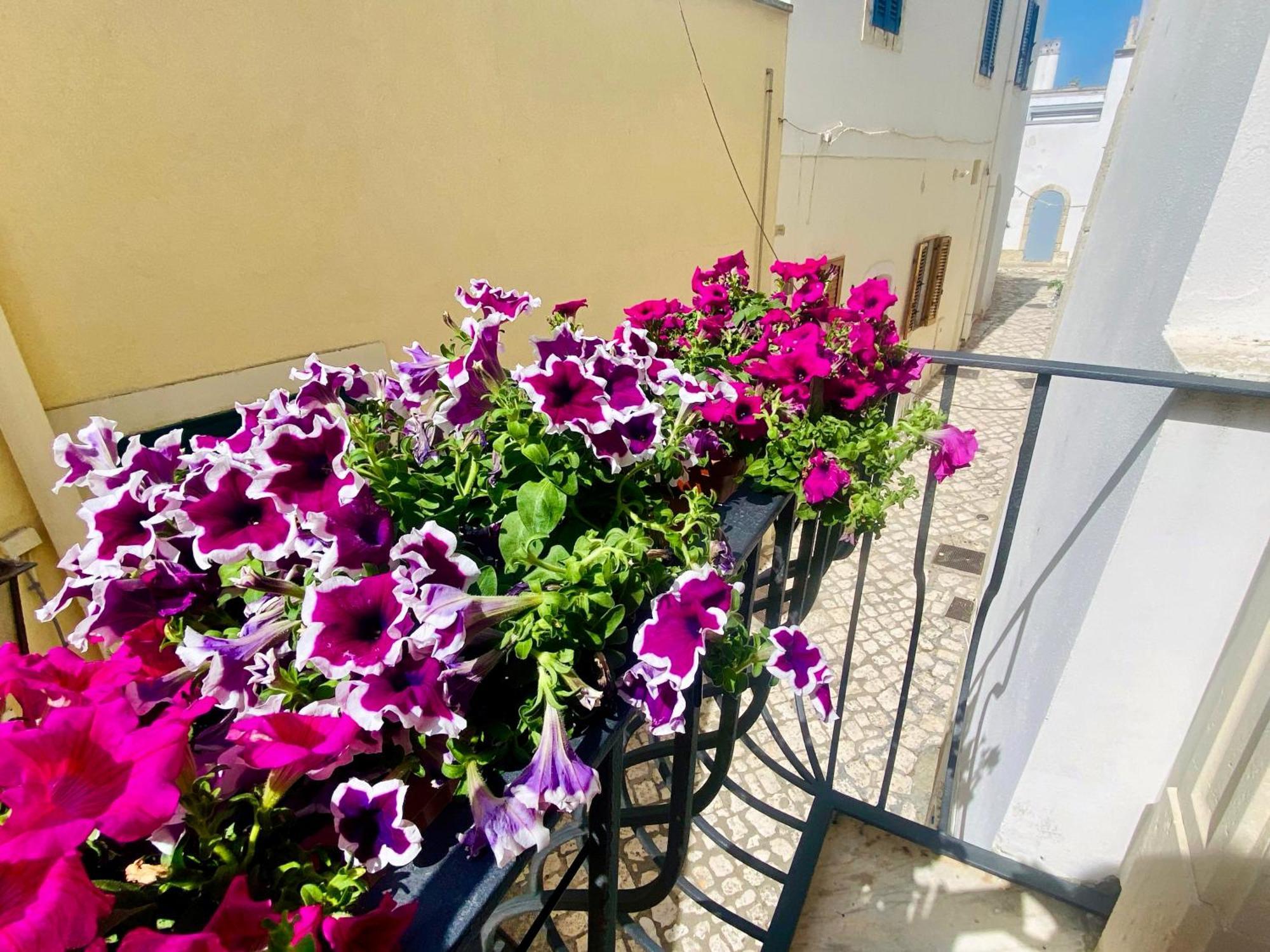 Dimora Del Sole Luxury And Charm Apartment Otranto Exterior photo